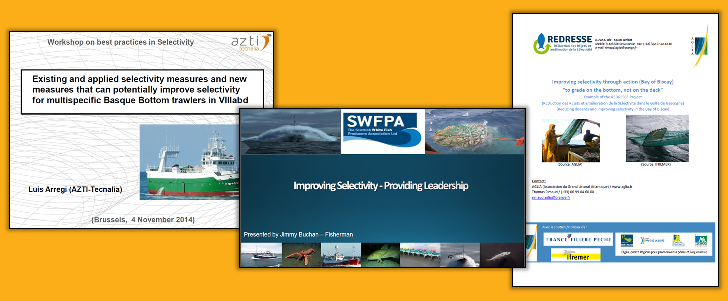 First Blue Fish Europe Workshop on Best Practices in Selectivity
